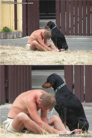 Voltar em Efeitos Bebidas