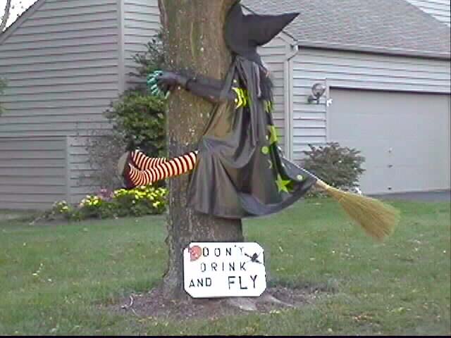 Return has Fotos Divertidas